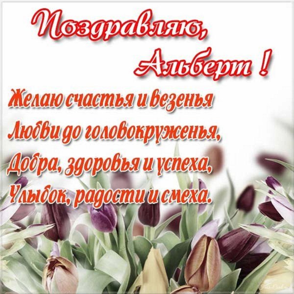 поздравление с днём рождения альберт
