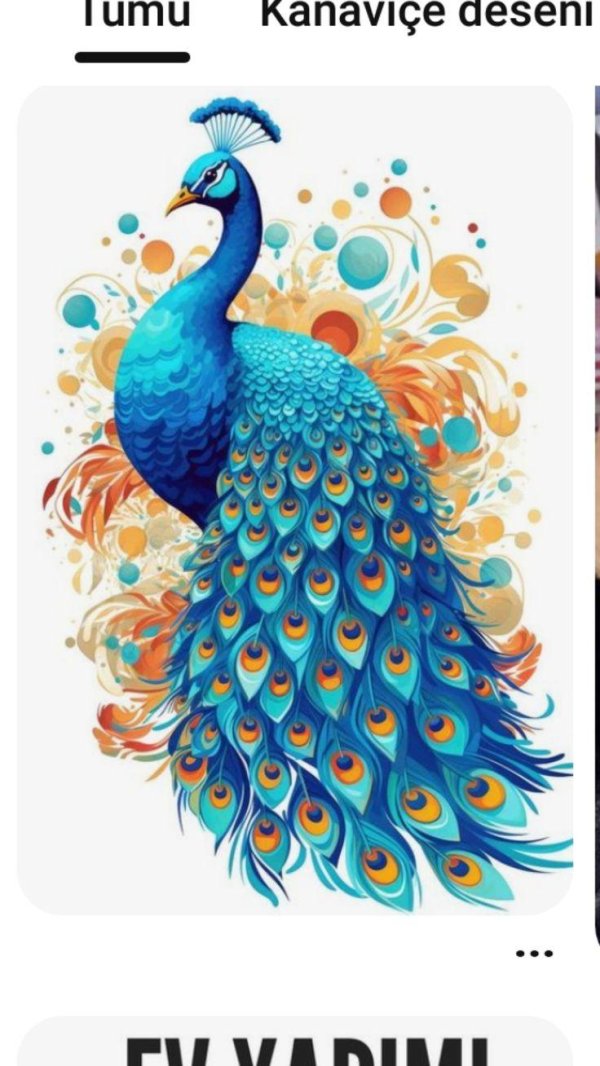 peacock art