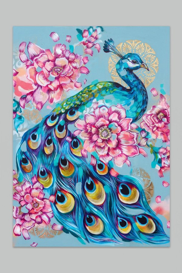 павлин картины красивые