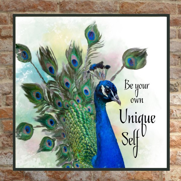 хвост павлина акварель