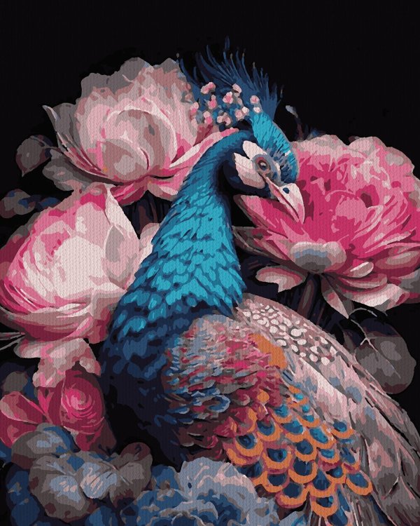 красивые павлины