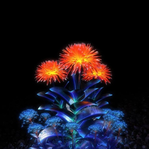 фантастические цветы