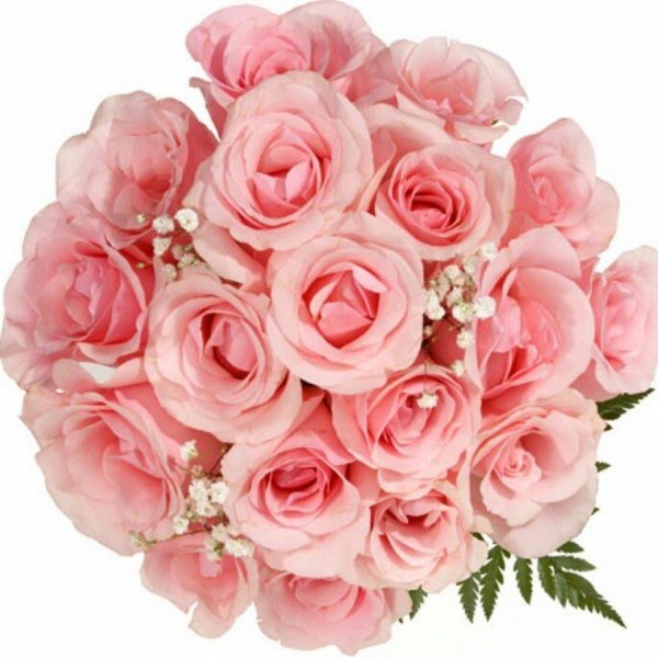 цветы для олечки