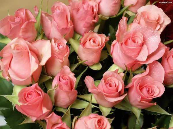 красивый букет