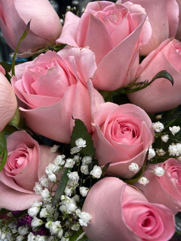 роскошные цветы