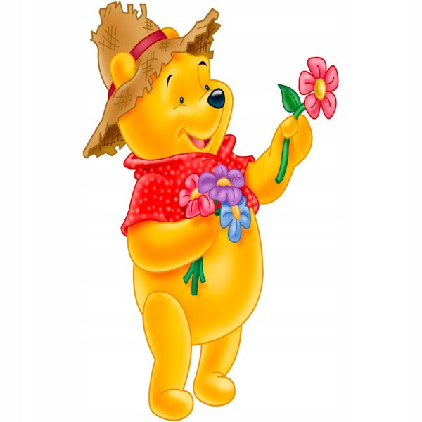 винни пух герои