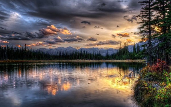 профессиональные пейзажи