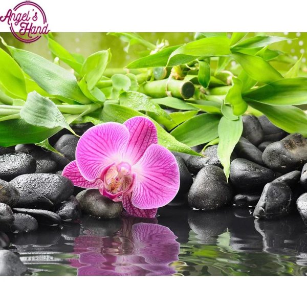 розовая орхидея