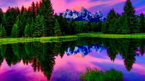 красота природа