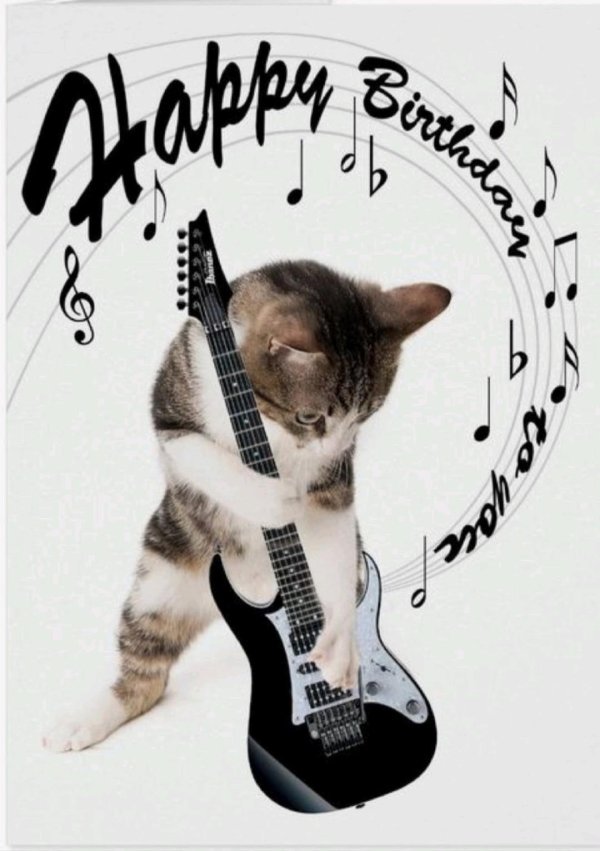 кот с гитарой