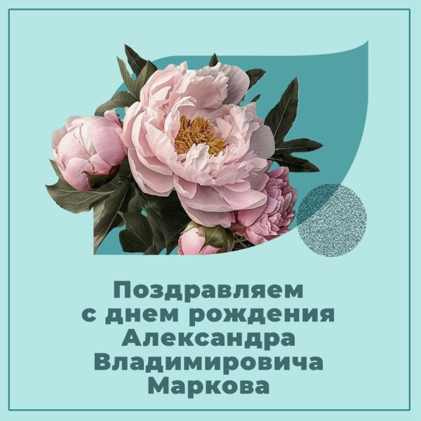 день рождения александра