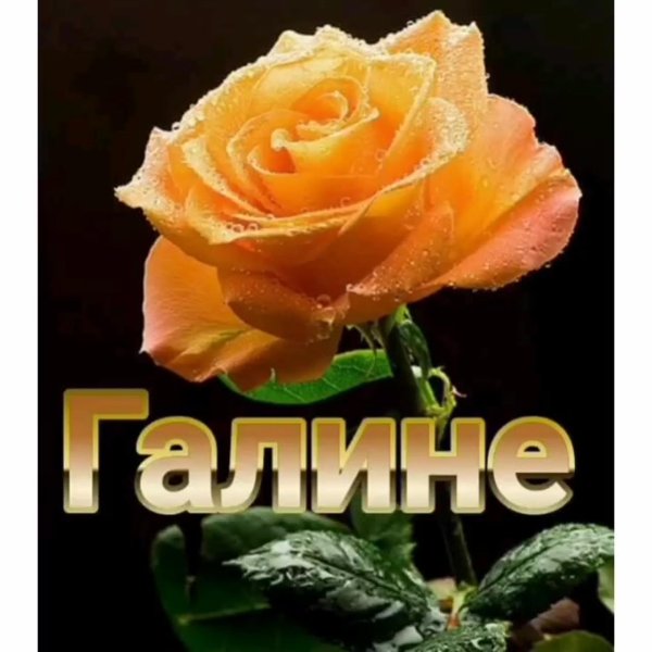 цветы для галины