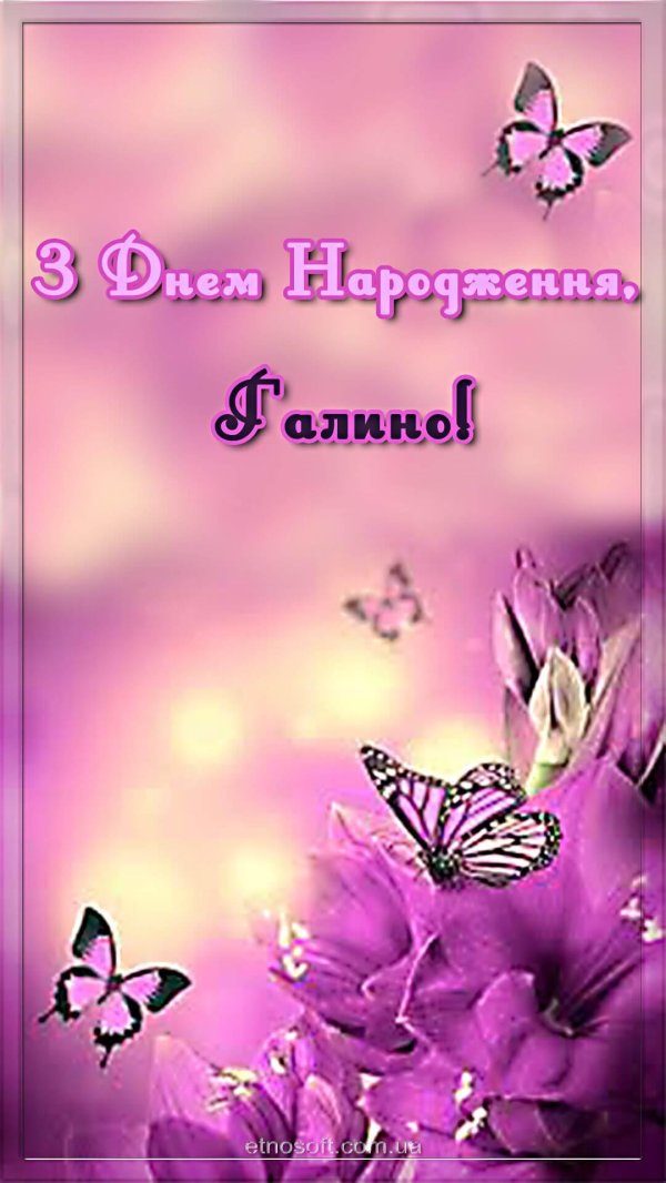 розовая бабочка