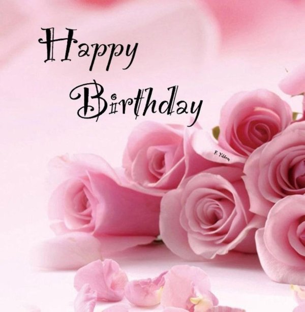 розовая роза