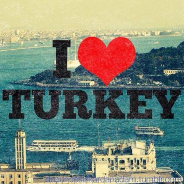 turkey love