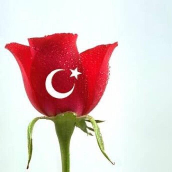 флаг турецкий