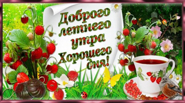 с добрым июльским утром красивые