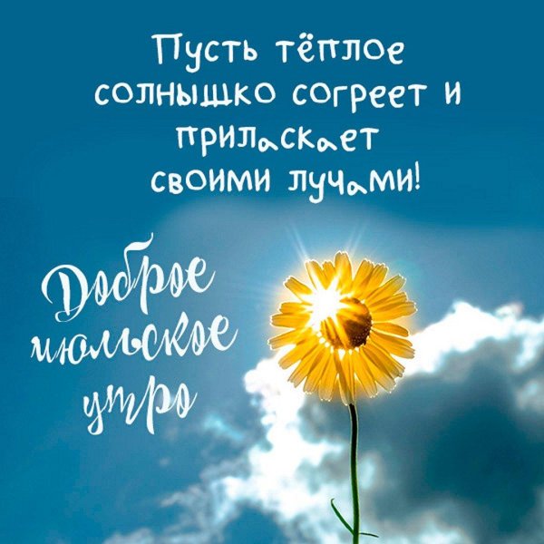 открытка солнышко