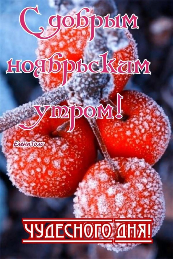 с ноябрьским утром