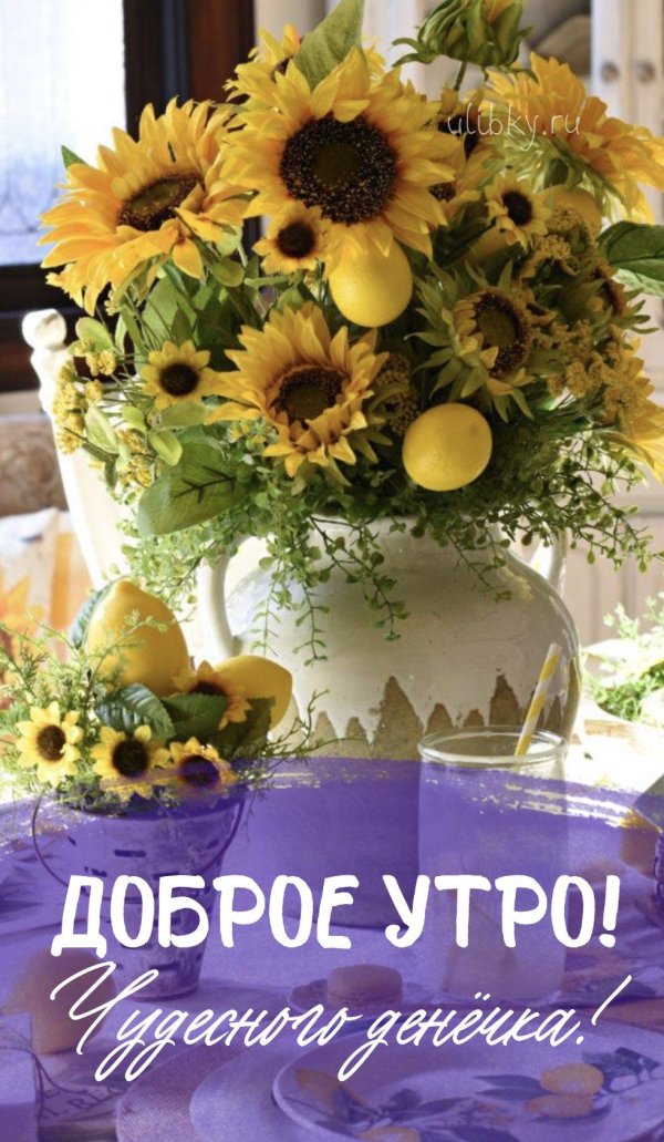 доброе августовское утречко