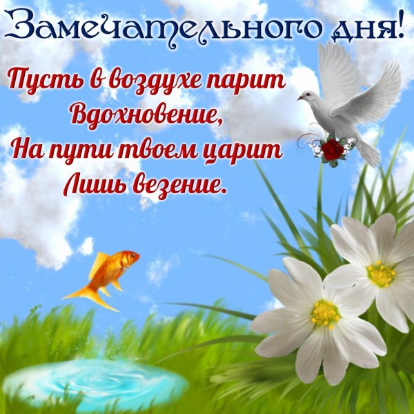 день добрый пожелания