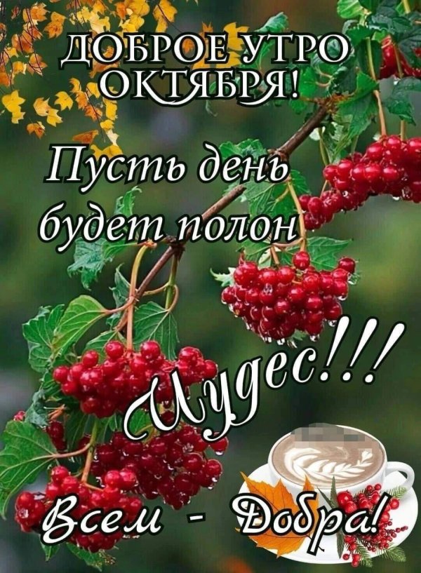 доброго утра октября