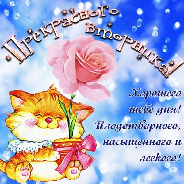 замечательного вторника