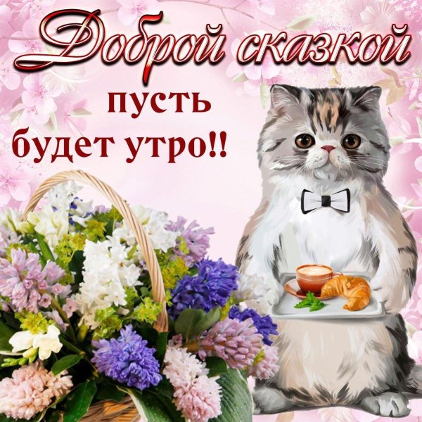 доброго утра котик