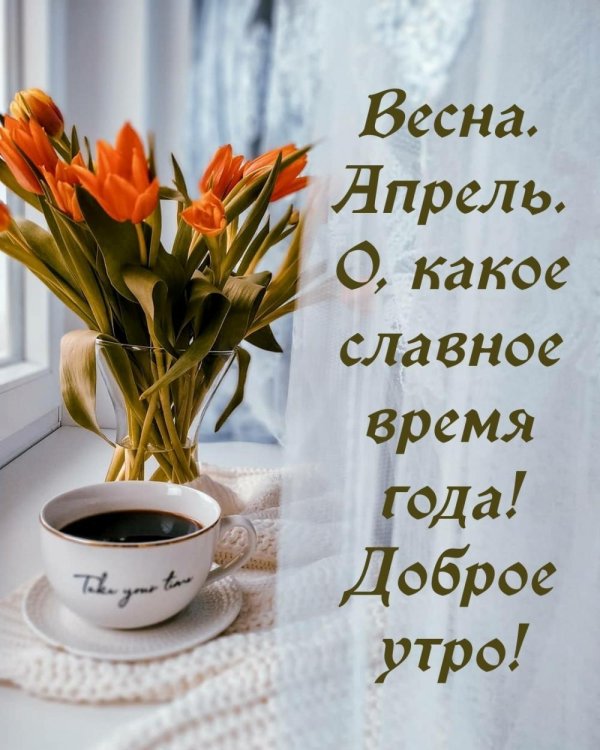 доброго утра весна