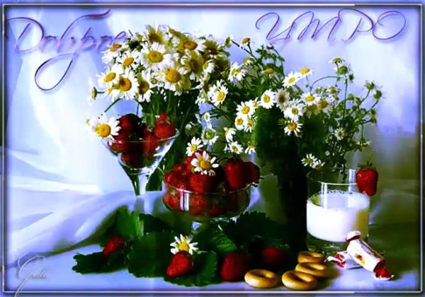 доброго утра с ромашками