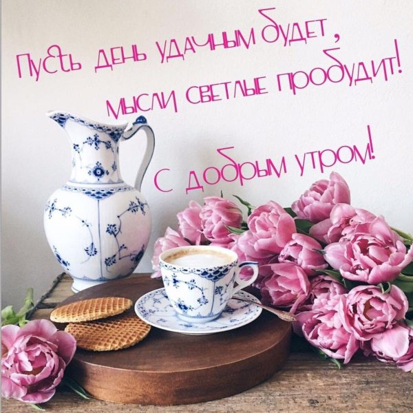 доброе утро и хорошего дня новые
