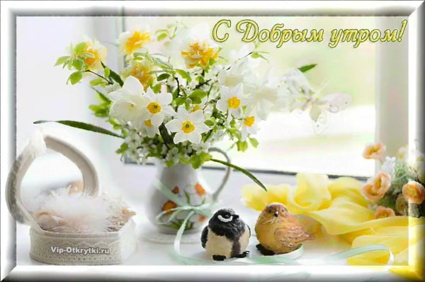 открытка доброе утро весенняя