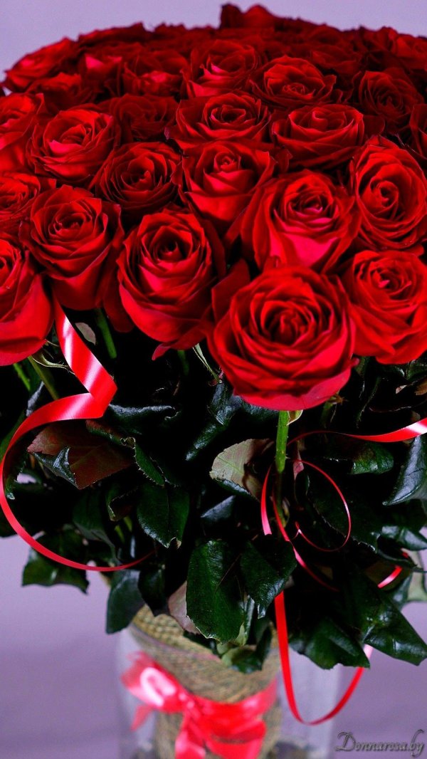 букет роз красивый