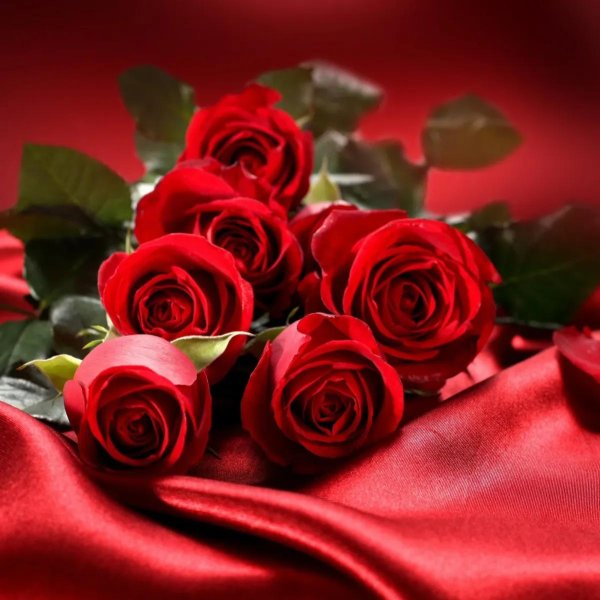 любимой женщине цветы