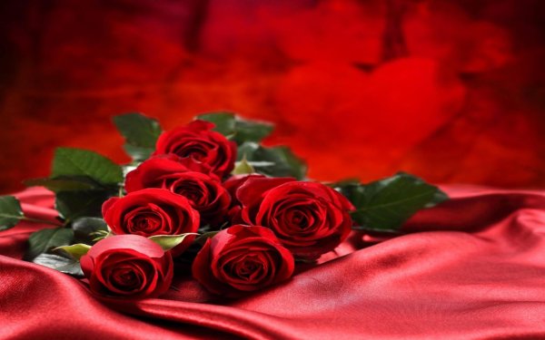 день красных роз