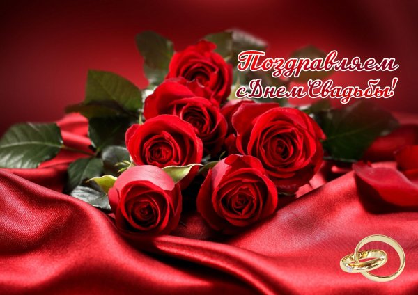 красная роза