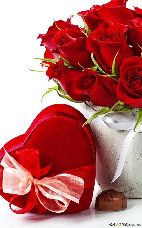 в день святого валентина