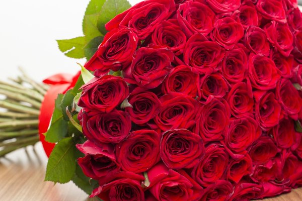 цветы розы много