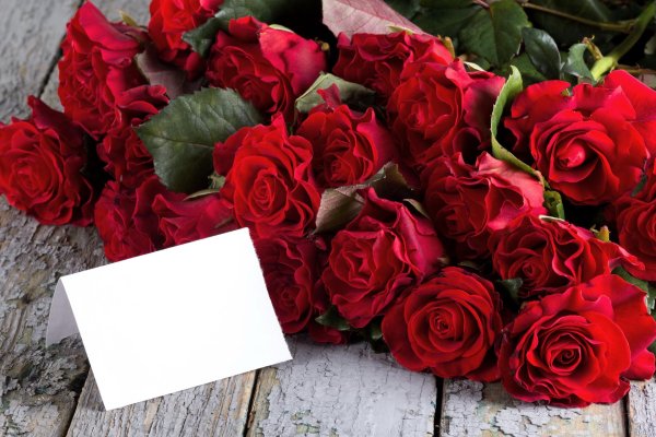 красный цветок