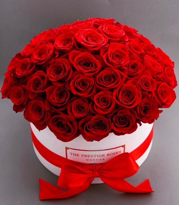 101 роза в шляпной коробке