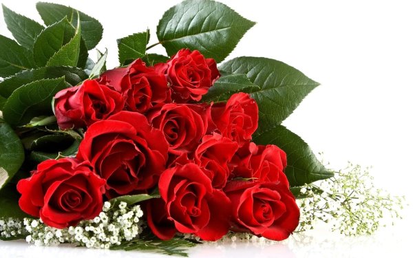 открытки и поздравления