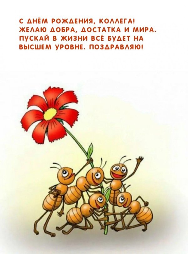 коллектив поздравляет с днем рождения