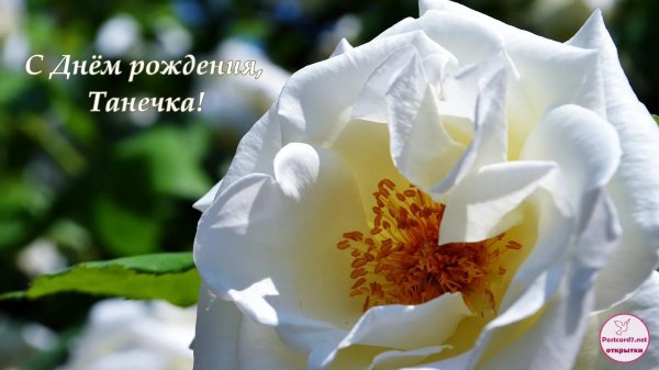 с день рождения татьяна