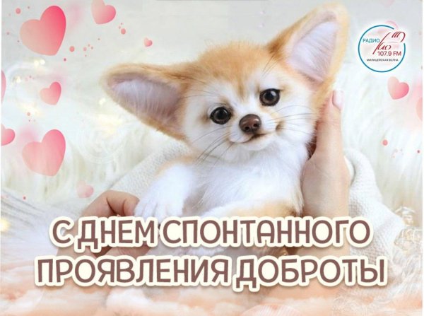 спонтанные проявления доброты