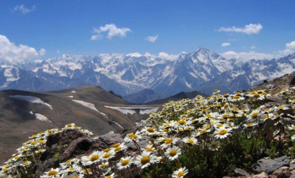 национальный парк алания