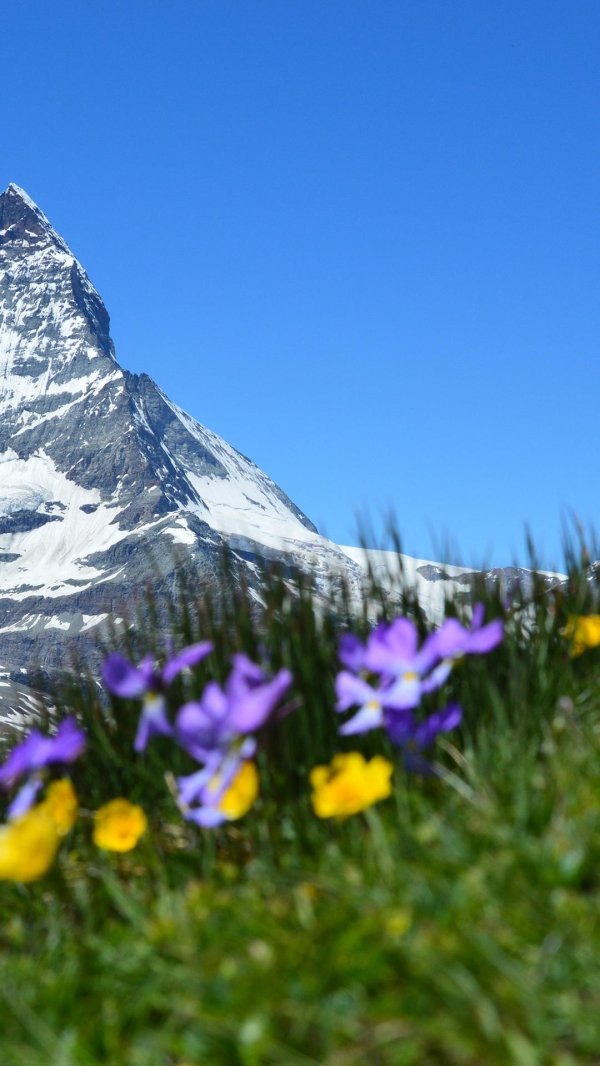 швейцария альпы
