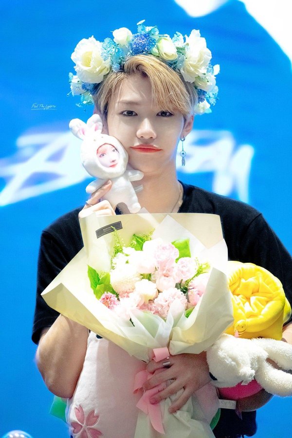 феликс stray kids