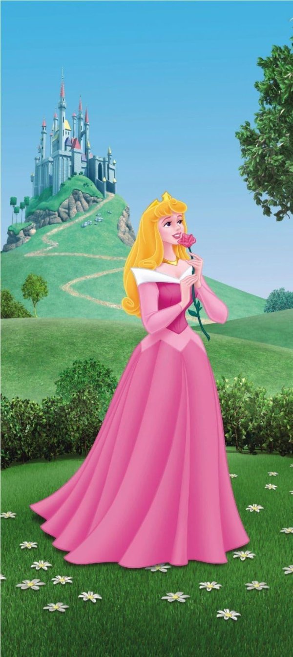 princess aurora