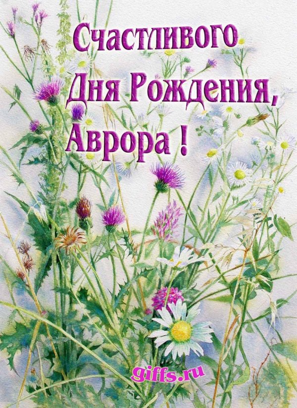 полевые цветы акварель