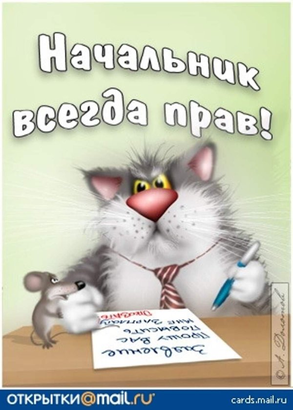 поздравление начальнику